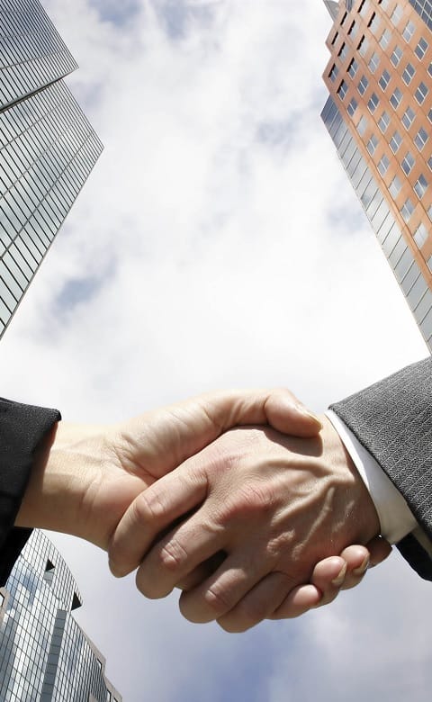 Hình ảnh Đại Việt hợp tác cùng nhau